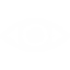 Vision